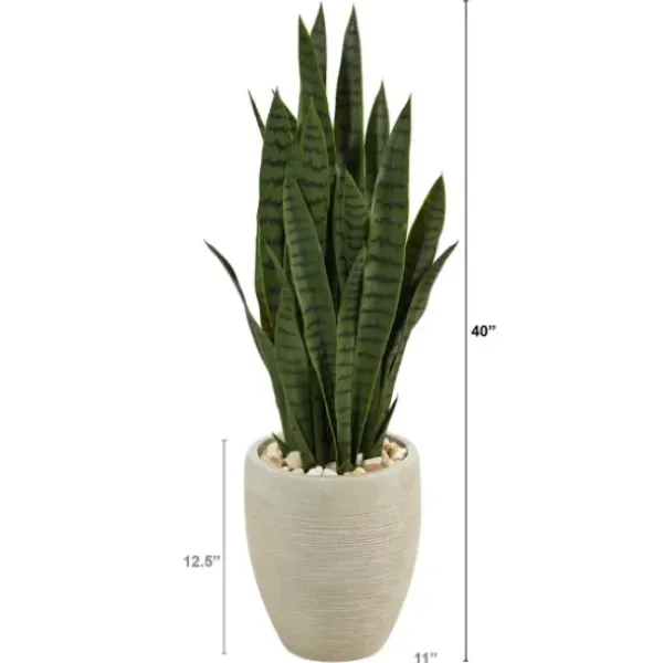 Trees & Topiaries-Kirkland's Home Sansevieria Arrangement In Sand Planter
