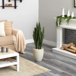 Trees & Topiaries-Kirkland's Home Sansevieria Arrangement In Sand Planter