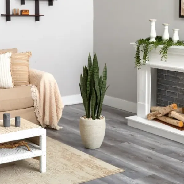 Trees & Topiaries-Kirkland's Home Sansevieria Arrangement In Sand Planter