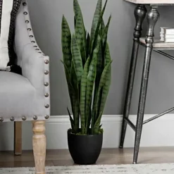 Trees & Topiaries-Kirkland's Home Sansevieria Floor Plant In Black Planter