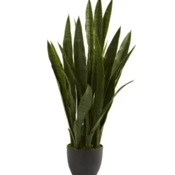 Trees & Topiaries-Kirkland's Home Sansevieria Floor Plant In Black Planter