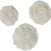 Wall Plaques-Kirkland's Home Sea Coral Wall Plates, Set Of 3 Ivory