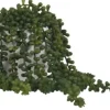 Arrangements & Greenery-Kirkland's Home Seedum In White Bowl Planter Green