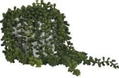 Arrangements & Greenery-Kirkland's Home Seedum In White Bowl Planter Green
