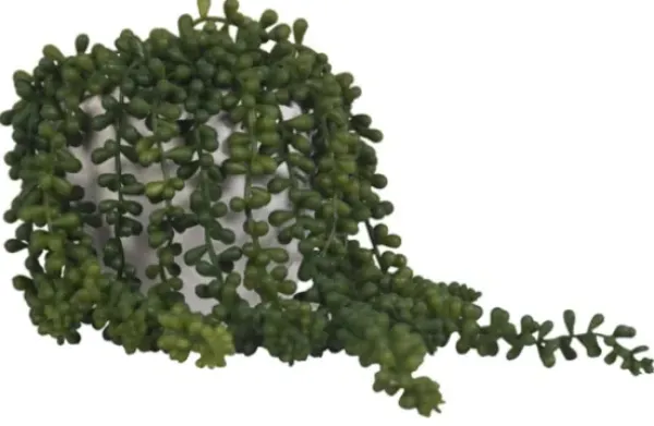 Arrangements & Greenery-Kirkland's Home Seedum In White Bowl Planter Green