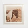 Framed Art-Kirkland's Home Sepia Horse On Linen Framed Art Print Tan/Brown