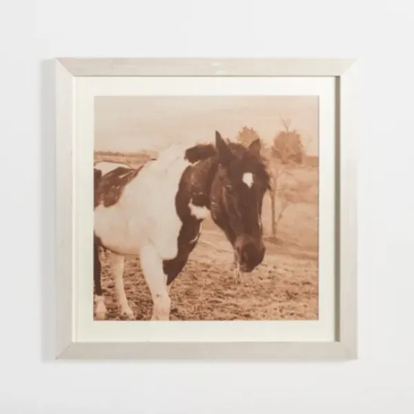 Framed Art-Kirkland's Home Sepia Horse On Linen Framed Art Print Tan/Brown