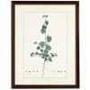 Framed Art-Kirkland's Home Sida Greenery Black Beaded Framed Art Print Ivory/Green