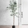 Trees & Topiaries-Kirkland's Home Silver Dollar Eucalyptus Tree In Brown Planter