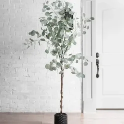 Trees & Topiaries-Kirkland's Home Silver Dollar Eucalyptus Tree In Brown Planter