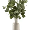 Arrangements & Greenery-Kirkland's Home Silver Dollar Eucalyptus Branches In Bottle Vase Green/Ivory