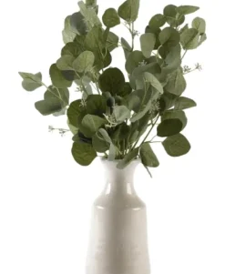 Arrangements & Greenery-Kirkland's Home Silver Dollar Eucalyptus Branches In Bottle Vase Green/Ivory