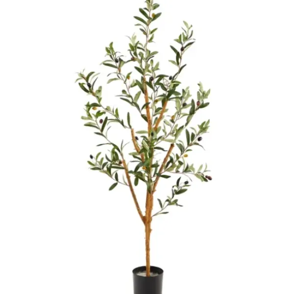 Trees & Topiaries-Kirkland's Home Slender Olive Branch Tree In Nursery Planter