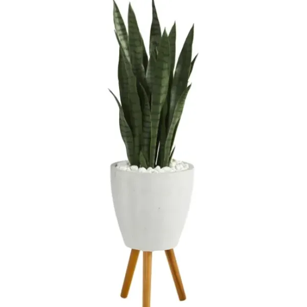 Trees & Topiaries-Kirkland's Home Snake Plant In White Tri-Pod Planter