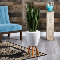 Trees & Topiaries-Kirkland's Home Snake Plant In White Tri-Pod Planter