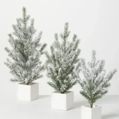 Arrangements & Greenery-Kirkland's Home Snowy Pine White Potted Christmas Trees, Set Of 3 Green/White