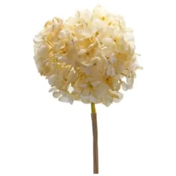 Stems & Bouquets-Kirkland's Home Soft Cream Hydrangea Stems, Set Of 6 Ivory