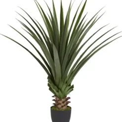 Arrangements & Greenery-Kirkland's Home Spiked Agave Plant In Nursery Planter Green/Black