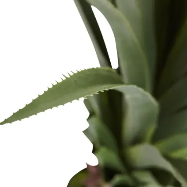 Arrangements & Greenery-Kirkland's Home Spiked Agave Plant In Nursery Planter Green/Black
