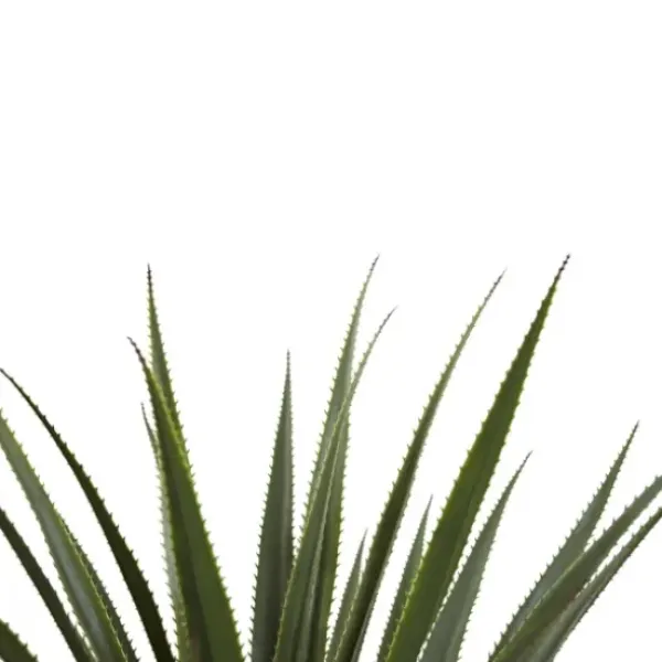 Arrangements & Greenery-Kirkland's Home Spiked Agave Plant In Nursery Planter Green/Black