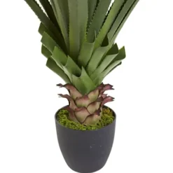 Arrangements & Greenery-Kirkland's Home Spiked Agave Plant In Nursery Planter Green/Black