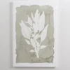 Canvas Art-Kirkland's Home Springtime Bloom Iii Canvas Art Print Green/White/Gray