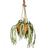 Arrangements & Greenery-Kirkland's Home Staghorn Fern In Hanging Cone Planter Green/Orange