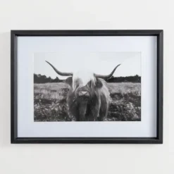 Framed Art-Kirkland's Home Stoic Steer Framed Art Print Black/White