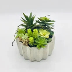 Arrangements & Greenery-Kirkland's Home Succulent Arrangement In Zig-Zag Gray Planter Green/White