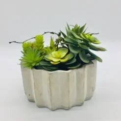 Arrangements & Greenery-Kirkland's Home Succulent Arrangement In Zig-Zag Gray Planter Green/White