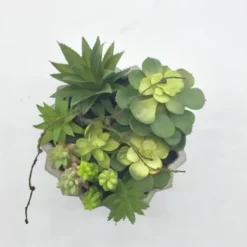 Arrangements & Greenery-Kirkland's Home Succulent Arrangement In Zig-Zag Gray Planter Green/White