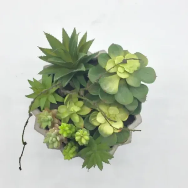 Arrangements & Greenery-Kirkland's Home Succulent Arrangement In Zig-Zag Gray Planter Green/White