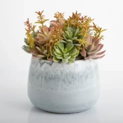 Arrangements & Greenery-Kirkland's Home Succulent Arrangement In Blue Stone Planter Blue/Green/Pink