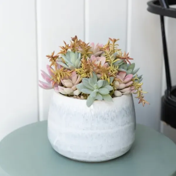 Arrangements & Greenery-Kirkland's Home Succulent Arrangement In Blue Stone Planter Blue/Green/Pink
