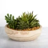 Arrangements & Greenery-Kirkland's Home Succulent Arrangement In Natural Wood Bowl Green/Tan