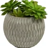 Arrangements & Greenery-Kirkland's Home Succulent Arrangement In Round Cement Planter Green/Gray