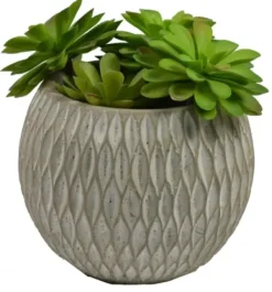 Arrangements & Greenery-Kirkland's Home Succulent Arrangement In Round Cement Planter Green/Gray