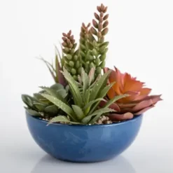 Arrangements & Greenery-Kirkland's Home Succulent Arrangement In Glazed Blue Bowl Blue/Green