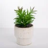 Arrangements & Greenery-Kirkland's Home Succulent In Ribbed White Planter Green/White