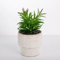 Arrangements & Greenery-Kirkland's Home Succulent In Ribbed White Planter Green/White