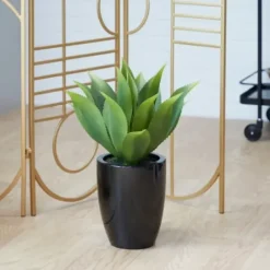Arrangements & Greenery-Kirkland's Home Succulent In Sleek Black Planter Green/Black