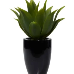 Arrangements & Greenery-Kirkland's Home Succulent In Sleek Black Planter Green/Black
