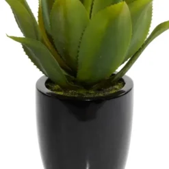 Arrangements & Greenery-Kirkland's Home Succulent In Sleek Black Planter Green/Black