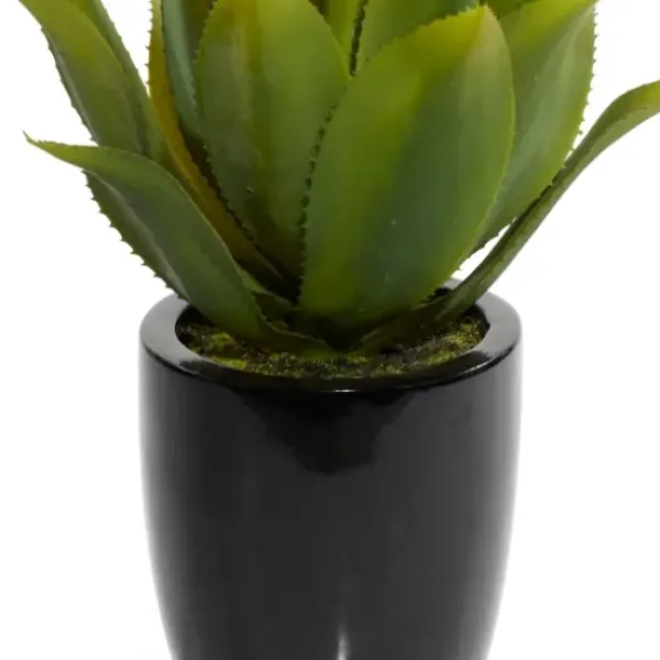 Arrangements & Greenery-Kirkland's Home Succulent In Sleek Black Planter Green/Black