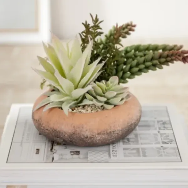 Arrangements & Greenery-Kirkland's Home Succulent Mix In Round Terracotta Planter Green/Orange