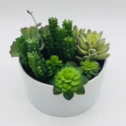 Arrangements & Greenery-Kirkland's Home Succulent Variety In Modern White Planter Green/White