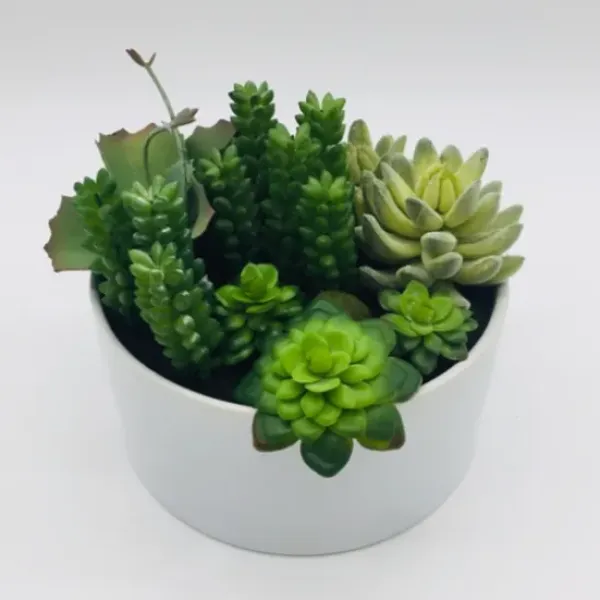 Arrangements & Greenery-Kirkland's Home Succulent Variety In Modern White Planter Green/White