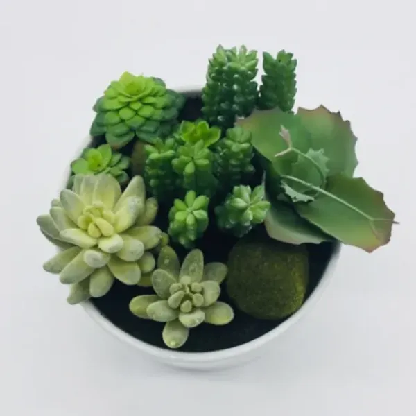 Arrangements & Greenery-Kirkland's Home Succulent Variety In Modern White Planter Green/White