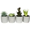 Arrangements & Greenery-Kirkland's Home Succulents In Ceramic Pots, Set Of 4 Green
