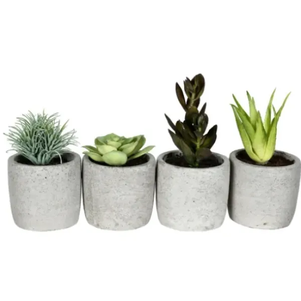Arrangements & Greenery-Kirkland's Home Succulents In Ceramic Pots, Set Of 4 Green